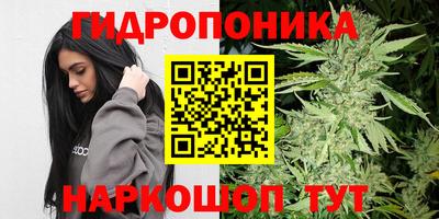 стаф Балаково