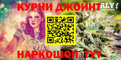 индика Гатчина