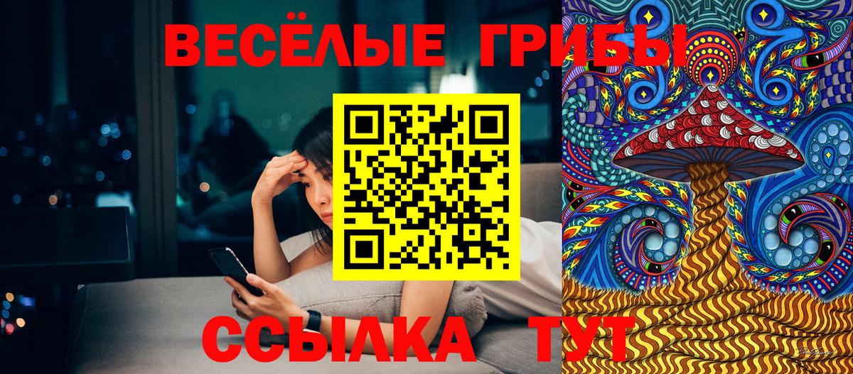 Городец  Псилоцибиновые грибы MAGIC MUSHROOMS  Вход с VPN 