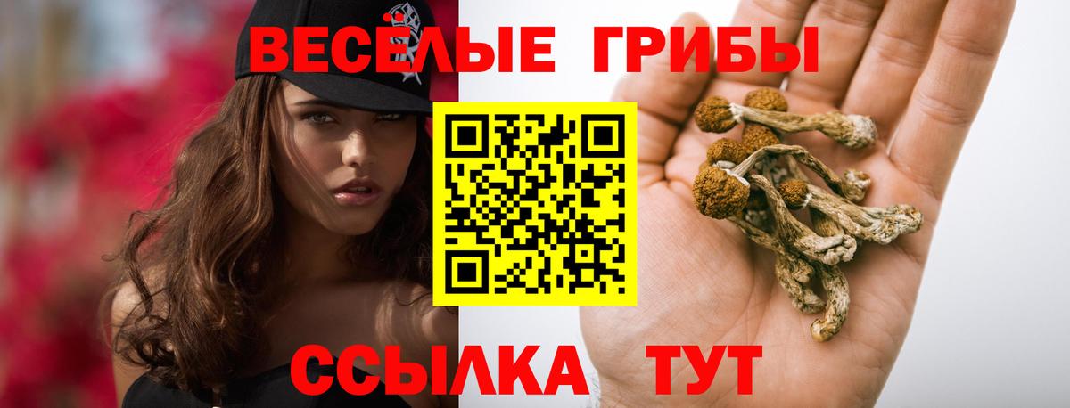 Галлюциногенные грибы ЛСД Городец